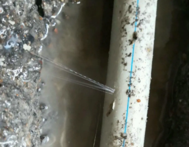 武穴测漏水哪家好