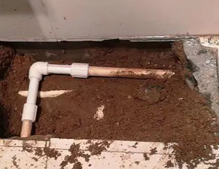 武穴测漏水哪家好