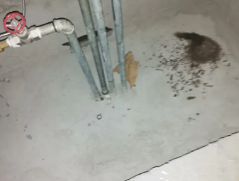 武穴卫生间测漏水价格明细