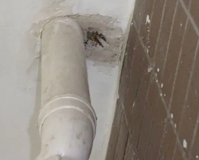 武穴漏水检测哪家好